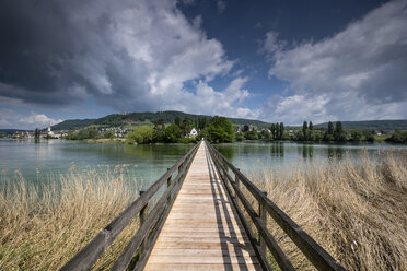 Schweiz, Thurgau, Eschenz, Holzbrücke, Blick über den Rhein zur Insel Werd - ELF001071