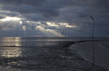 Deutschland, Niedersachsen, Küste bei Dorum, Schlechtwetter, Wattenmeer - OLE000021