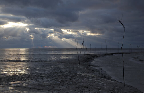 Germany, Lower Saxony, Coast near Dorum, Bad weather, Tideland - OLE000021