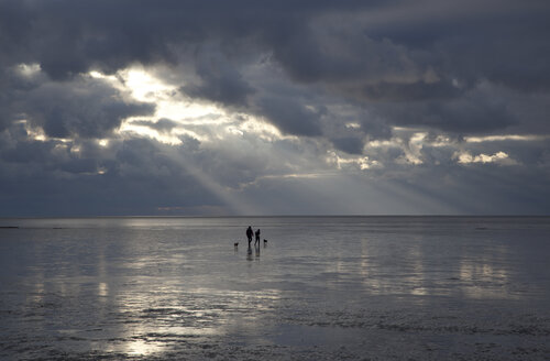 Germany, Lower Saxony, Walkers with dogs at coast near Dorum, Tideland - OLE000022