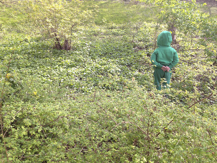 Three-year child in green clothes hiding among green plants - ZMF000299