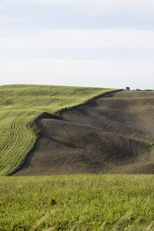 Italien, Toskana, Kreta, Reifenspuren eines Traktors auf einem Feld - MYF000343