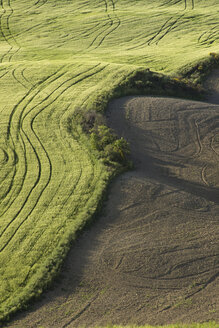 Italien, Toskana, Crete Senesi, Reifenspuren eines Traktors auf einem Feld - MYF000344