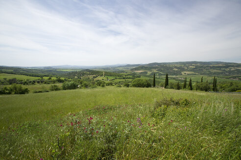 Italien, Toskana, Landschaft bei Pienza - MYF000345