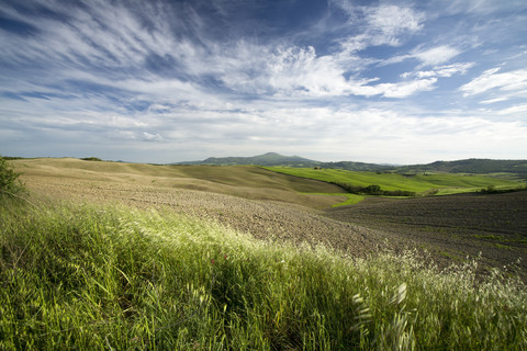 Italien, Toskana, Landschaft mit Feld bei Pienza, lizenzfreies Stockfoto