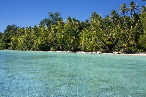 Micronesia, Palau, Peleliu, lagoon with palm-lined beach - JWAF000074