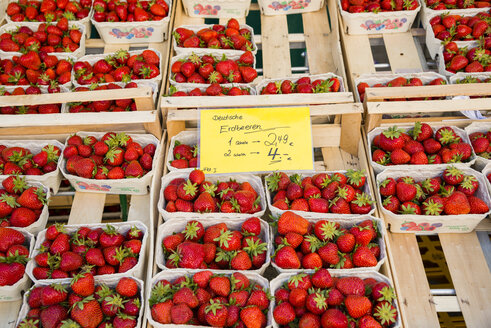 Germany, Bavaria, Neu-Ulm, Strawberries, Fragaria, - WGF000311