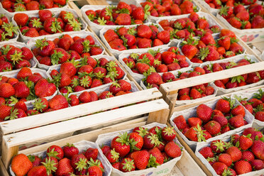 Deutschland, Bayern, Neu-Ulm, Erdbeeren, Fragaria, in Schale auf dem Markt - WGF000312