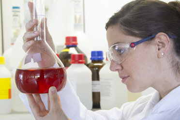 Porträt einer Chemikerin, die einen Erlenmeyerkolben mit roter Flüssigkeit hält - SGF000766