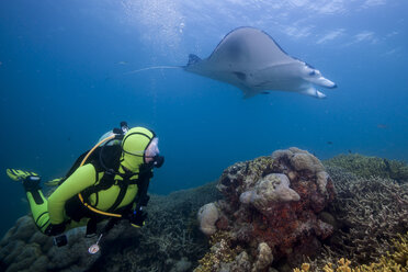 Ozeanien, Mikronesien, Yap, Taucher mit Riffmantarochen, Manta alfredi - FGF000061