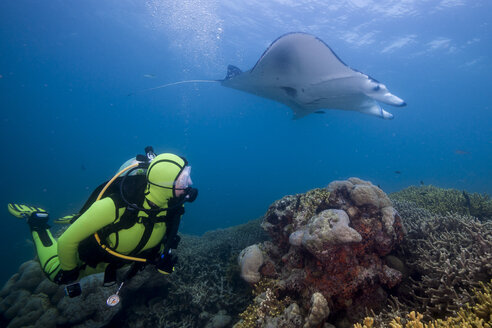 Oceania, Micronesia, Yap, Diver with reef manta ray, Manta alfredi - FGF000061