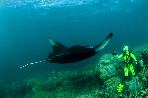 Oceania, Micronesia, Yap, Diver with reef manta ray, Manta alfredi - FGF000063