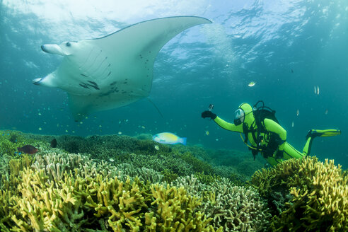 Ozeanien, Mikronesien, Yap, Taucher mit Riffmantarochen, Manta alfredi - FGF000078