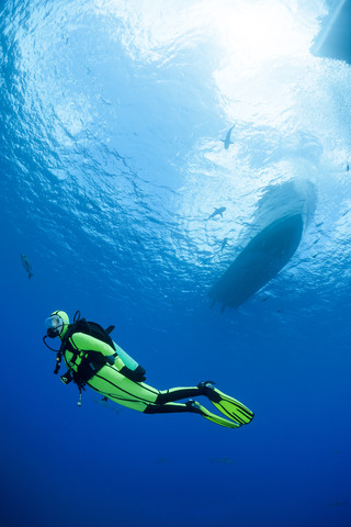 Micronesia, Yap, Female diver and grey reef sharks, Carcharhinus amblyrhynchos, under a boat stock photo