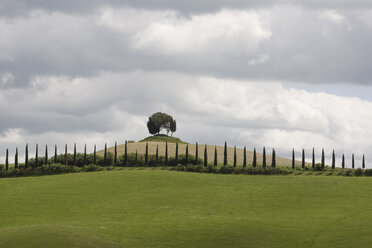 Italien, Toskana, Landschaft bei Siena - MYF000385