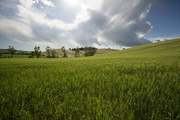 Italien, Toskana, Landschaft gegen die Sonne - MYF000388