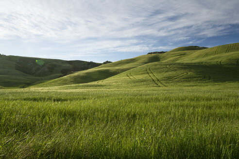 Italien, Toskana, Crete Senesi, Landschaft - MYF000437