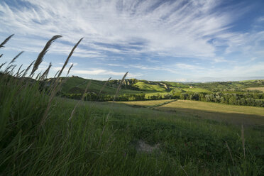 Italien, Toskana, Crete Senesi, Landschaft - MYF000440