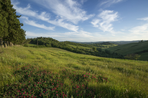 Italien, Toskana, Crete Senesi, Landschaft, lizenzfreies Stockfoto