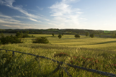 Italien, Toskana, Crete Senesi, Landschaft bei Sonnenuntergang - MYF000446