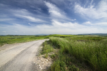 Italy, Tuscany, Province of Siena, Typical landscape near Siena - MYF000402