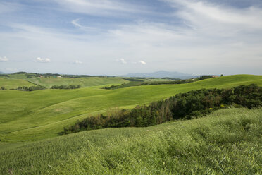 Italien, Toskana, Provinz Siena, Typische Landschaft bei Siena - MYF000403