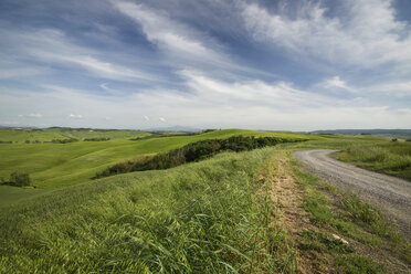 Italien, Toskana, Provinz Siena, Typische Landschaft bei Siena - MYF000404