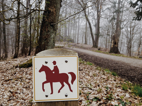 Schild für Radfahrer Straße erlaubt, Hamburg, Deutschland, lizenzfreies Stockfoto