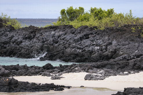 Ozeanien, Galapagos-Inseln, Santa Cruz, Blick auf die felsige Küste am Playa Las Bachas - CB000314