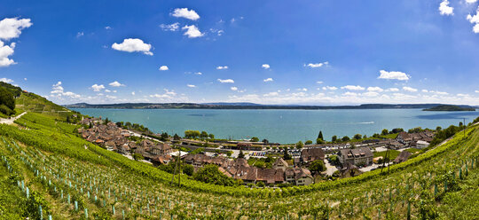 Schweiz, Kanton Bern, Twann, Bielersee, Weinberge - AMF002401