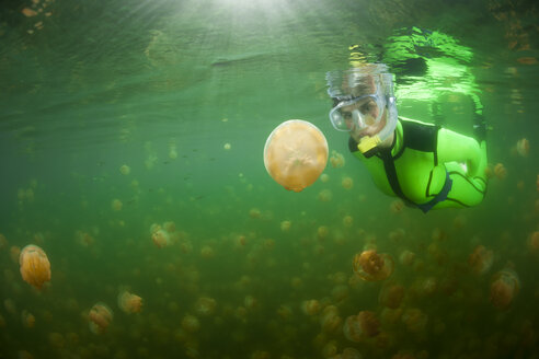Oceania, Palau, Eik Malk, Female snorkeller watching spotted jellyfish, mastigias papua, in saltwater lake - FGF000032