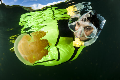 Oceania, Palau, Eik Malk, Female snorkeller watching spotted jellyfish, mastigias papua, in saltwater lake - FGF000050
