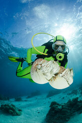 Ozeanien, Palau, Taucher beobachten Palau Nautilus, Nautilus belauensis, im Pazifik - FG000051