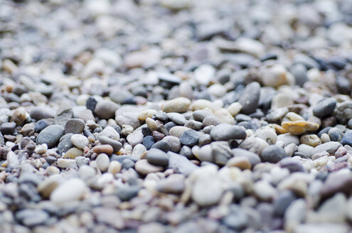 Pebble stones at the banks of Rhine River - CZF000153