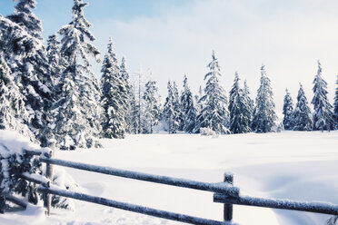 Deutschland, Niedersachsen, Winterlandschaft im Harz - MEM000241