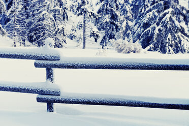 Germany, Lower Saxony, winter landscape in Harz - MEM000242