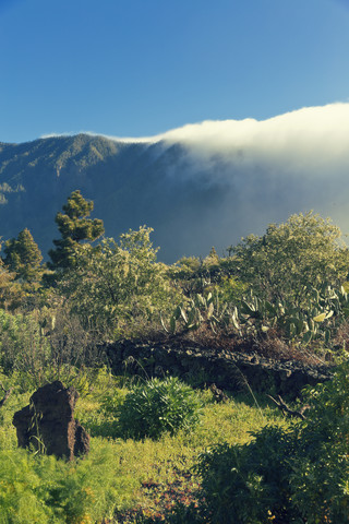 Spanien, Kanarische Inseln, La Palma, Landschaft im Nationalpark Caldera de Taburiente, lizenzfreies Stockfoto