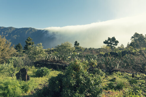 Spanien, Kanarische Inseln, La Palma, Landschaft im Nationalpark Caldera de Taburiente - MEM000246