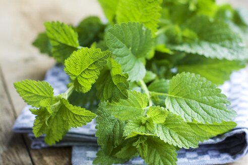 Fresh lemon balm, Melissa officinalis - HAWF000322