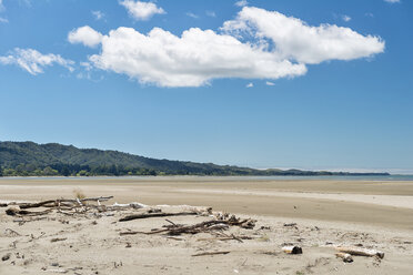 Neuseeland, Golden Bay, Strand mit Treibholz bei Pakawau - SHF001414