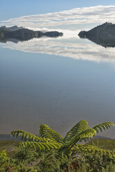 Neuseeland, Golden Bay, Whanganui Inlet, Inseln und Berge spiegeln sich im Wasser bei Westhaven - SHF001490