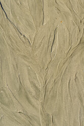 New Zealand, Nelson, structure in the sand at Tahunanui beach at low tide - SHF001424