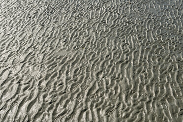 Neuseeland, Nelson, Struktur im Sand am Strand von Tahunanui bei Ebbe - SHF001427