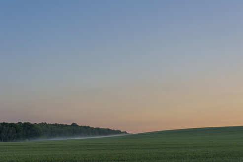 Deutschland, Sachsen, Muldental, Sonnenuntergang und Nebel - MJF001284