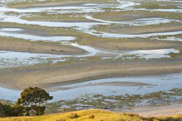 Neuseeland, Golden Bay, Puponga, Muster im Sand bei Ebbe - SHF001434