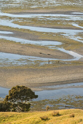 Neuseeland, Golden Bay, Puponga, Muster im Sand bei Ebbe - SHF001435