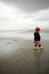 Netherlands, Rotterdam, little girl with red cap and yellow rubber boots walking on the wet sandy beach - SAF000013