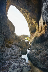 Neuseeland, Golden Bay, Wharariki Beach, Meereshöhle in den Felsen mit einem kleinen Bach bei Ebbe - SHF001448