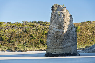 Neuseeland, Golden Bay, Wharariki Beach, erodierter Sedimentpfeiler am Strand - SHF001450