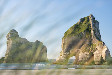 Neuseeland, Golden Bay, Wharariki Beach, Felsbögen am Strand durch Gras - SHF001452